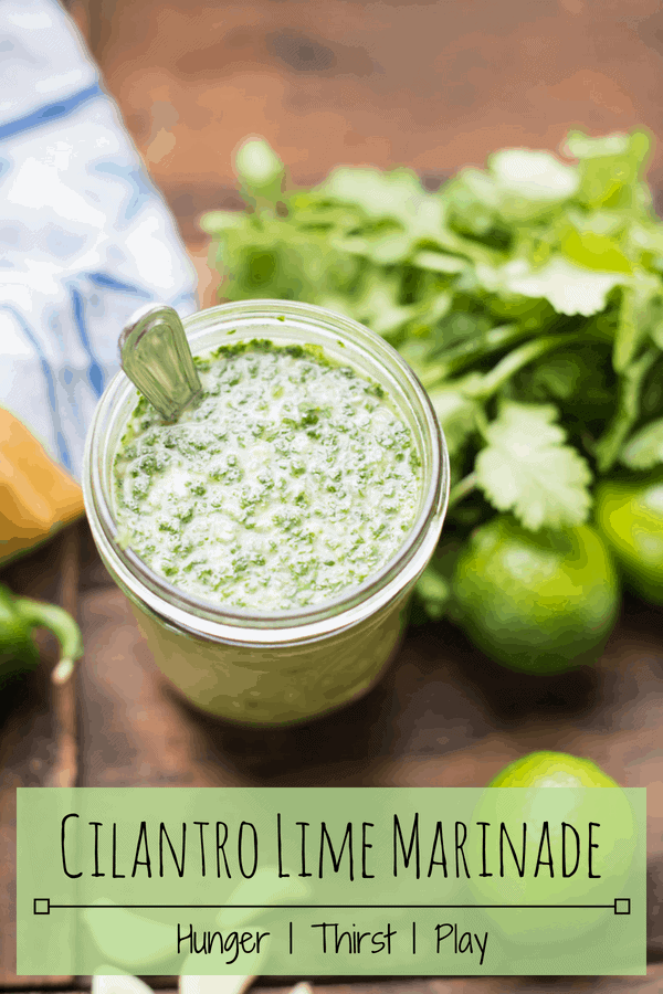 Easy Breezy Cilantro Lime Marinade HungerThirstPlay