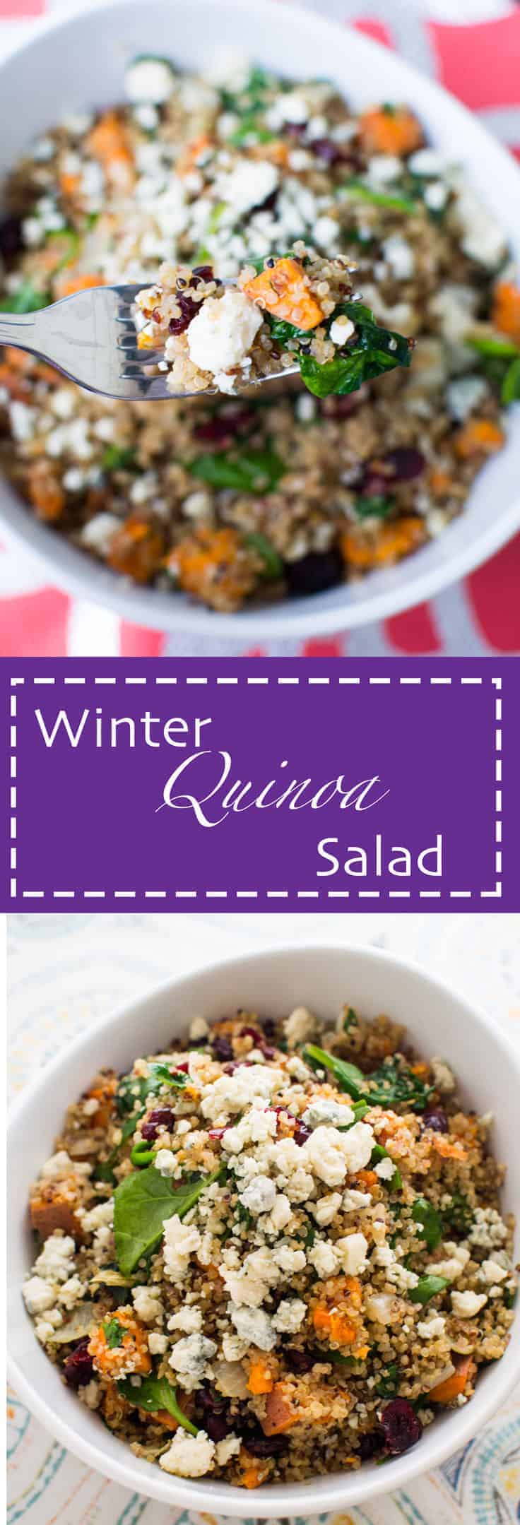 Quinoa with sweet potato, dried cranberries, spinach, gorgonzola & walnuts