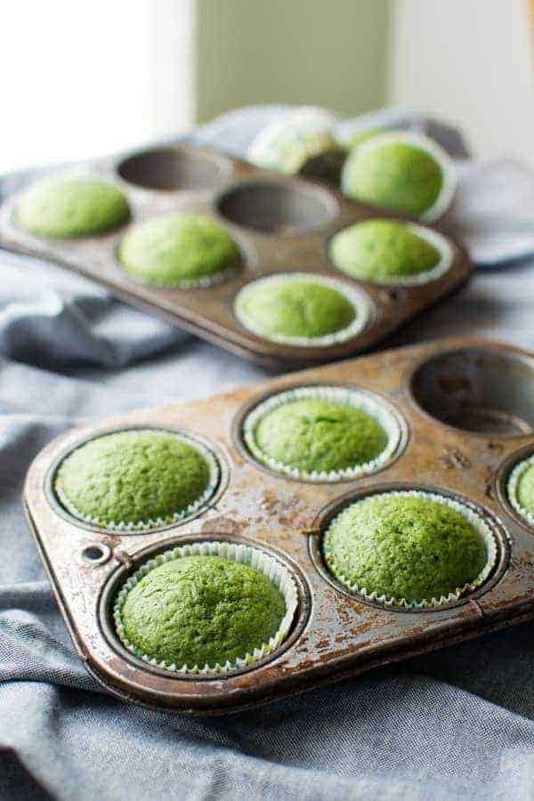 Green Tea Cupcakes with Chocolate Buttercream