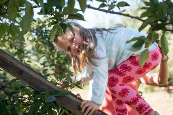 Honey Pot Hill Orchards