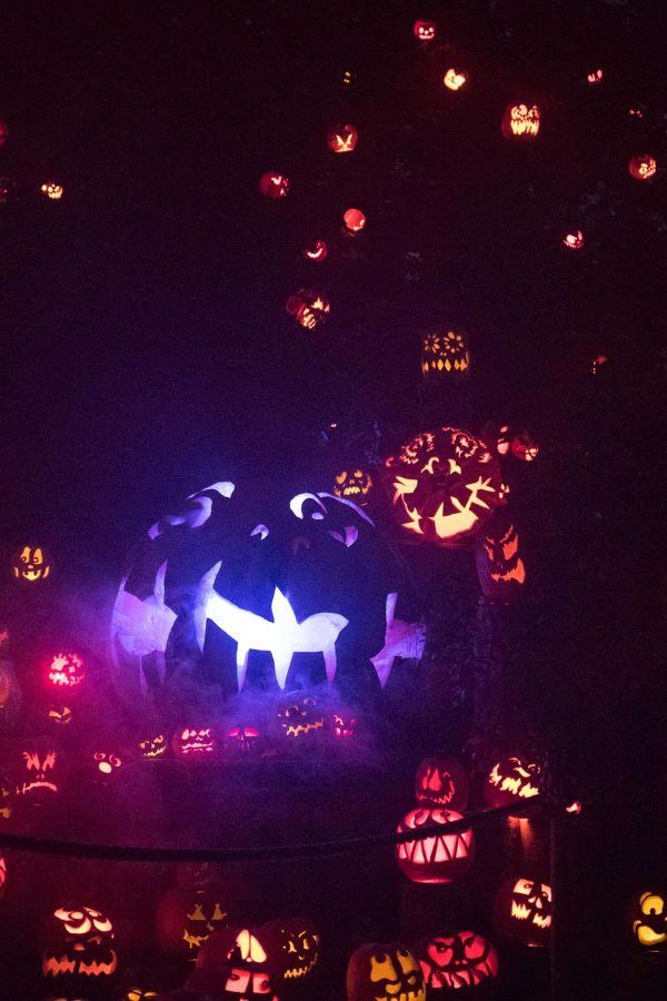 Jack O'Lantern Spectacular