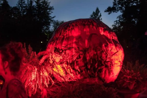 Jack O'Lantern Spectacular