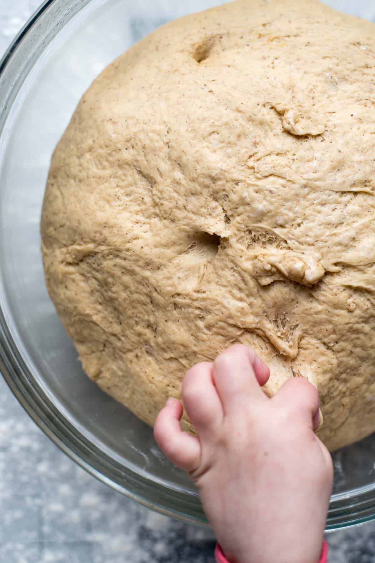 The dough for the festive doughnuts has been made and left to rest in a large glass bowl. A child's hand is picking a piece of dough out of the bowl. 