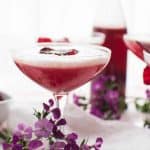 Sweet Beet + Gin Martini