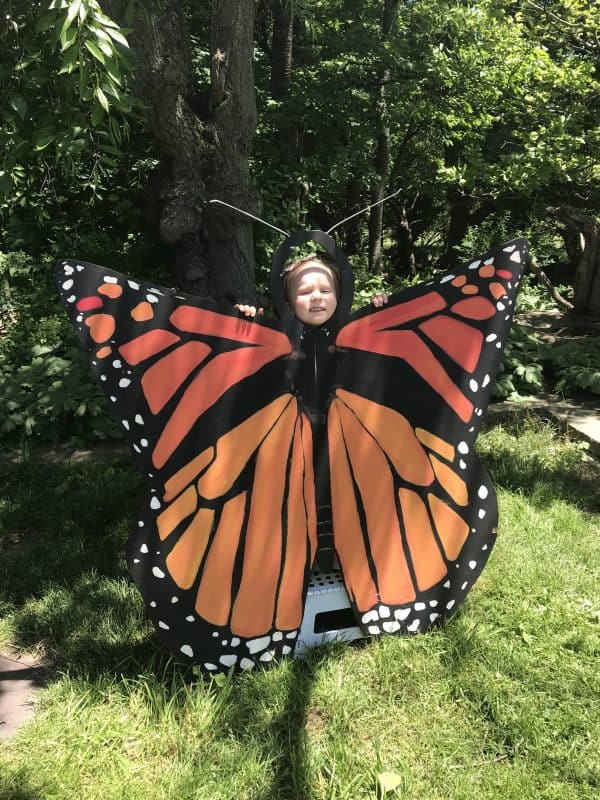 Mass Audubon Naturefest