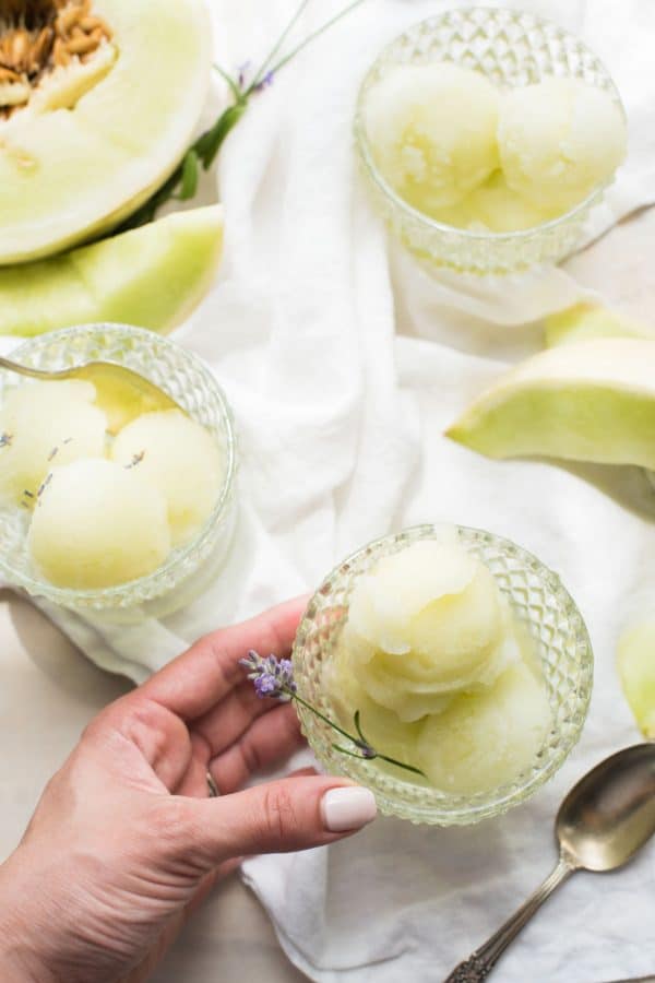 Honeydew Lavender Sorbet