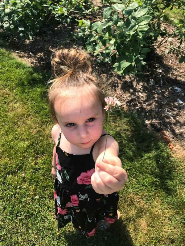 Shea Flower Picking