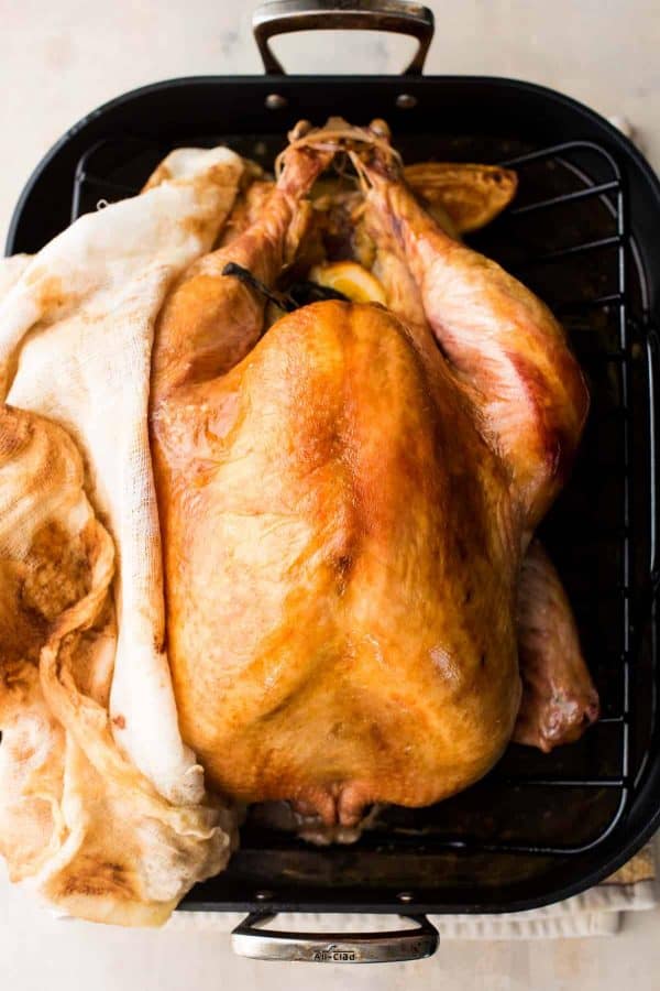 overhead photo of no base cheesecloth turkey