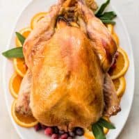 Overhead photo of roasted orange sage turkey brine