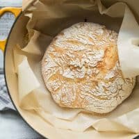 Roasted garlic no-knead bread freshly baked in a dutch oven