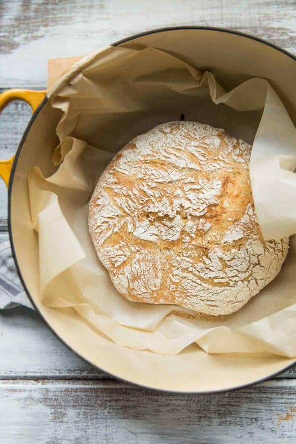 Roasted garlic no-knead bread freshly baked in a dutch oven