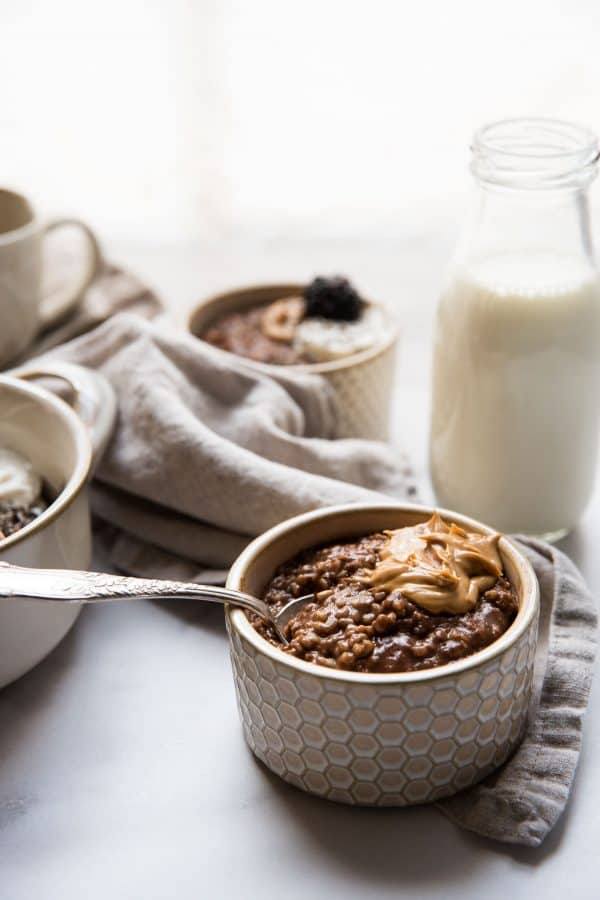 spoon resting in a bowl of chocolate steel cut oats