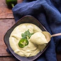 spoonful of thick and creamy avocado crema