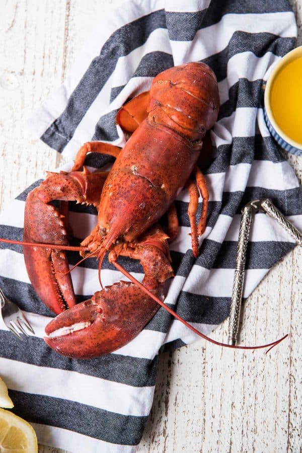 whole lobster with butter and shell cracker