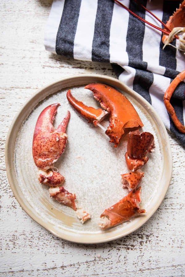 shell of the lobster claw with the meat arranged on the other side