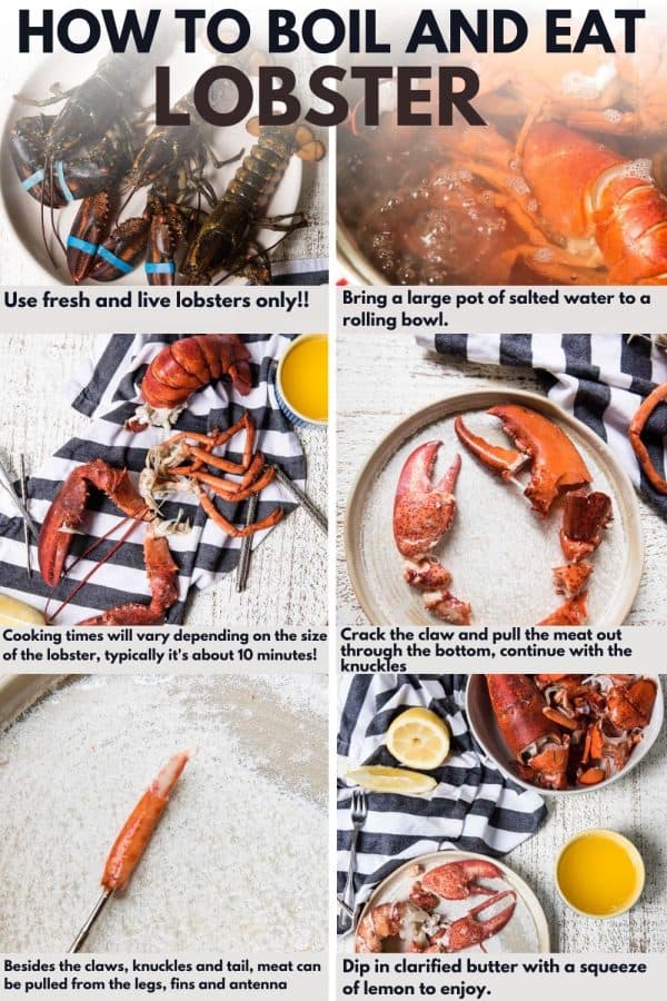 collage of how to boil and eat lobster