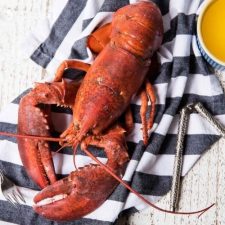 close up of boiled lobster