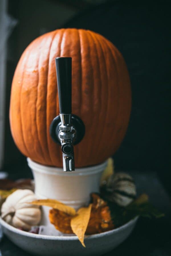 large carving pumpkin on a stand with a beverage dispenser tapped into it