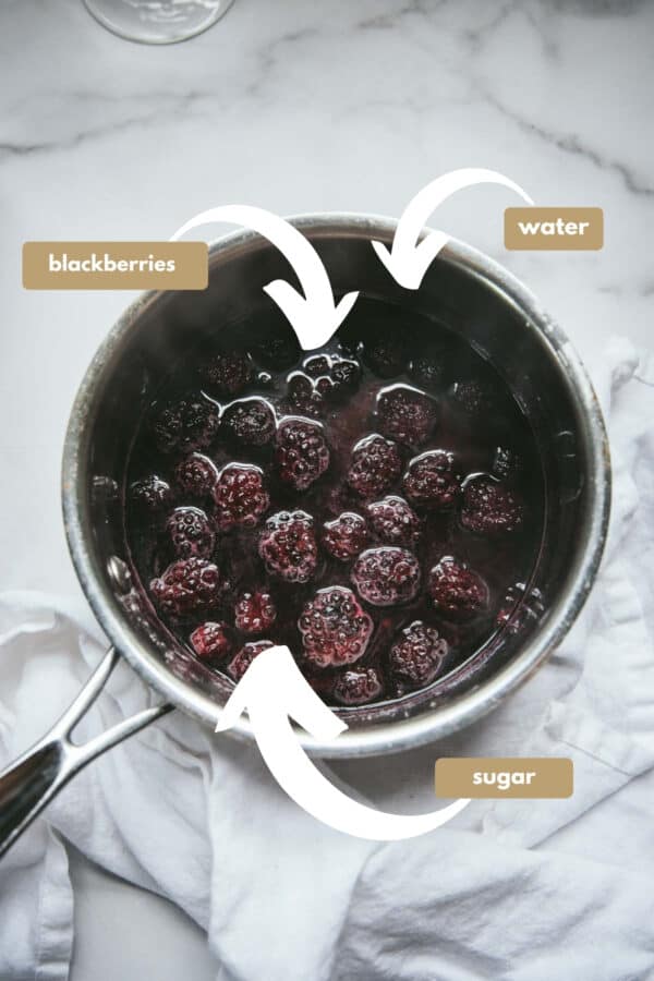 ingredients for blackberry martinis