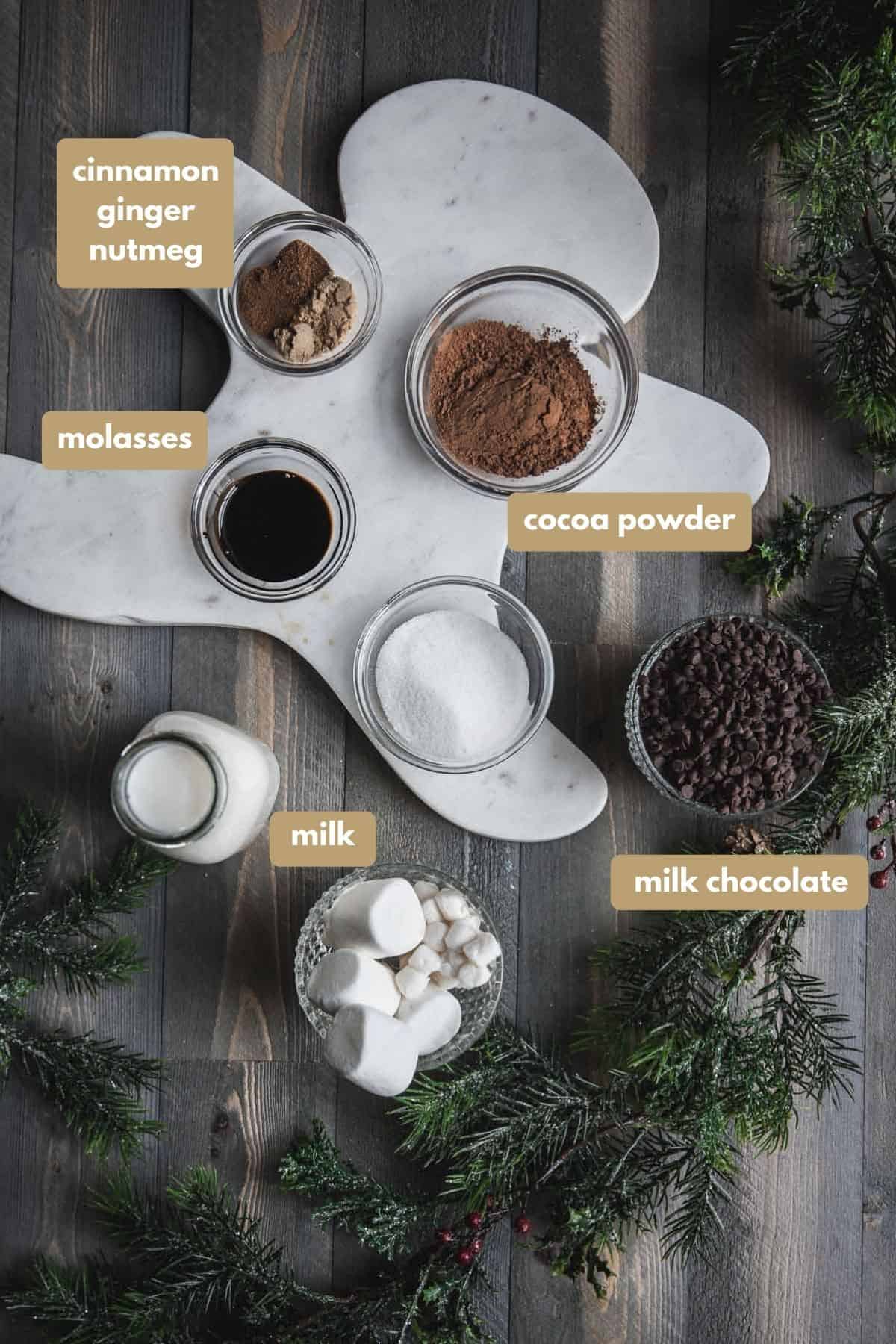 labeled ingredients for hot chocolate with gingerbread spices