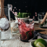 ice cube falling into blackberry cocktail