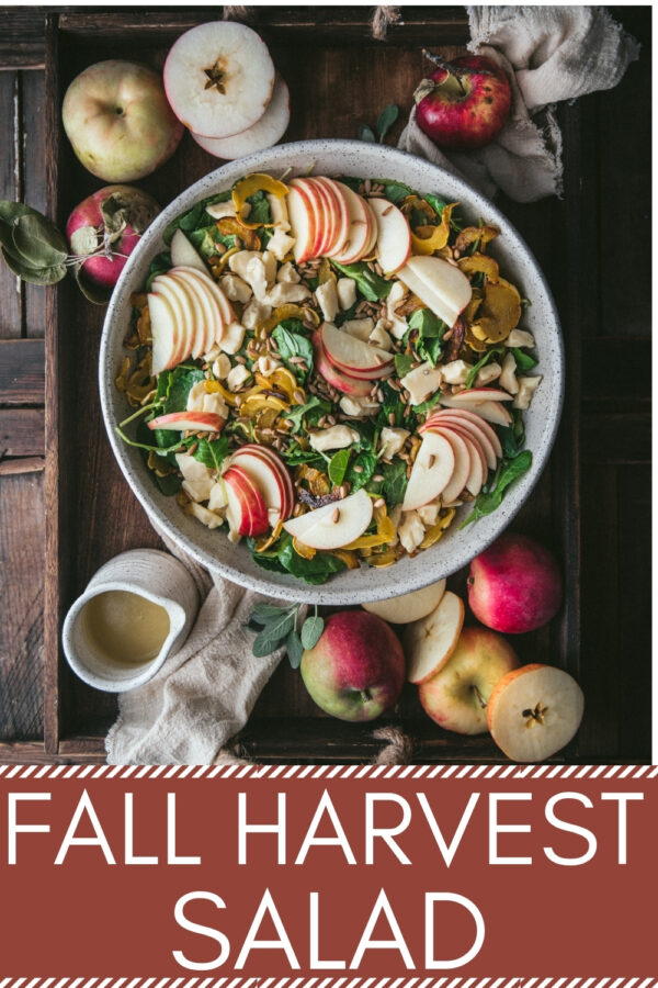 overhead of salad platter with sliced apples and roasted squash